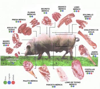 curso cocina cerdo iberico